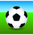 soccer ball on field vector image