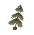 potted xmas tree christmas fir growing in planter vector image vector image