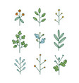 set nine simple hand drawn floral branches vector image