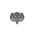 creative angry elephant head mammoth logo vector image vector image