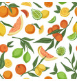 seamless pattern with mix colorful citrus vector image