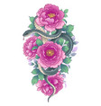 twisted snake among pink peony flowers vector image