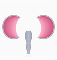 elephant face elements - ears and proboscis vector image vector image
