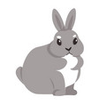 rabbit portrait wild fauna of woodland hare vector image vector image
