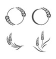 icon of wheat ears circle vector image