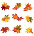 autumn icon set fall leaves and berries nature vector image