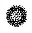 pattern overlay vector image vector image