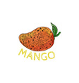 mango juicy fruit mandala vector image