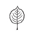 rose leaf vector image vector image