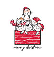 group cute kitten cat in red present gift box vector image