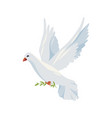dove of peace icon or clipart vector image vector image