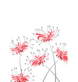 red flower higanbana vector image