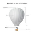 anatomy hot air balloon isolated on white vector image vector image