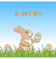 easter grass bunny vector image