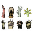 paws of animals or footprints and wildlife bird vector image