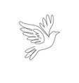 one single line drawing adorable elegant fly vector image