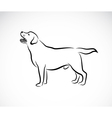 dog labrador vector image