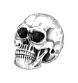 human scull sketch anatomical drawing in engraved vector image