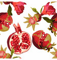 seamless pattern with pomegranate fruits vector image