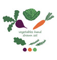 beet carrot cabbage and leaves set icon sticker vector image