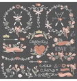 colored doodles floral decor setborderselements vector image