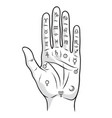 palmistry or chiromancy hand with zodiac signs vector image