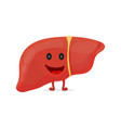 strong happy healthy liver character vector image vector image