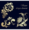 set of floral design elements vector image