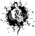 skull and snake vector image