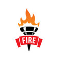 fire logo vector image