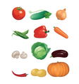collection of vegetables vector image vector image