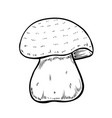 hand drawn mushroom vector image