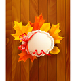 card with leaves with a bow on wooden background vector image vector image