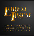 gold font letters and numbers vector image