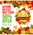 autumn sale discount offer banner template design vector image