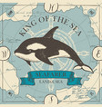 banner with big hand-drawn killer whale vector image vector image