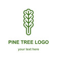 pine or fir tree logo vector image