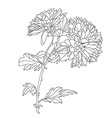 floral decoration vector image