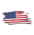 grunge america flag vector image