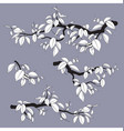 tree branches monochrome set flat vector image
