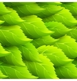 seamless green leaves background vector image