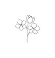 simple continuous line art design vector image