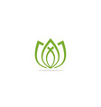 lotus green leaf eco logo vector image