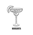 margarita cocktail monochrome vector image