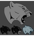panther portrait angry wild big cat vector image vector image
