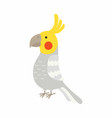 adult parrot normal grey cockatiel nymphicus vector image vector image