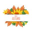 hello autumn card hand lettering typography vector image