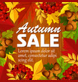 autumn sale poster leaf rowan berry acorn vector image