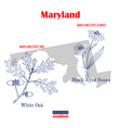 maryland set of usa official state symbols vector image vector image