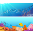 sea life banners vector image